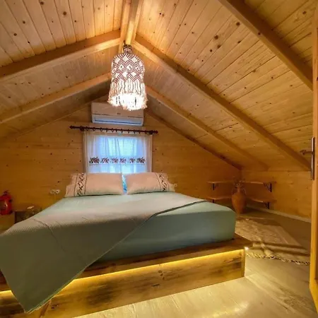 Rengin Feriehus *