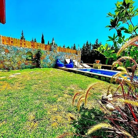 Rengin Datca