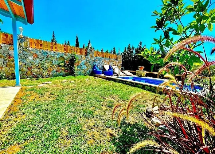 Rengin داتْشا